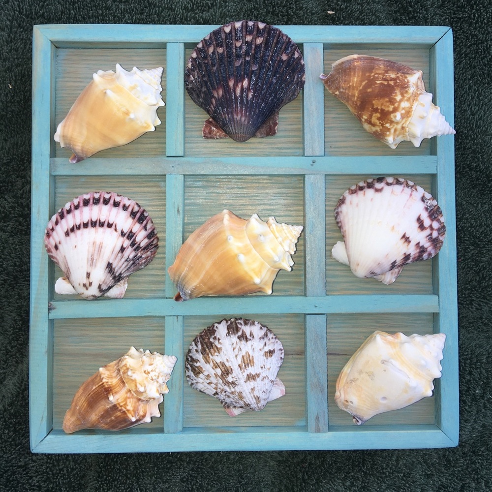 Coastal Tic Tac Toe board with shells